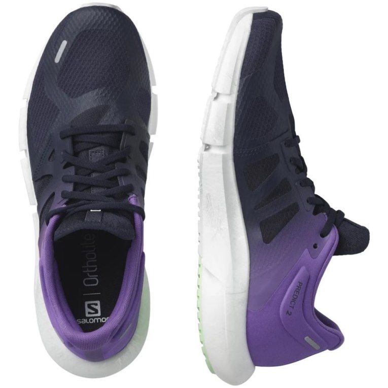 Navy / Purple Salomon Predict 2 Men's Running Shoes | IE RS2361